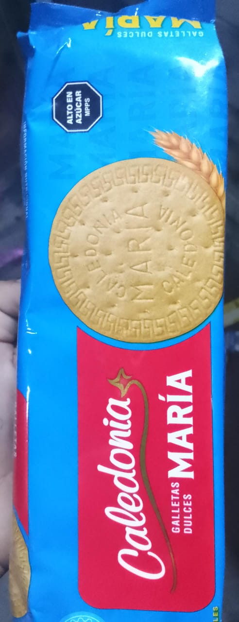 Galletas Maria Caledonia
